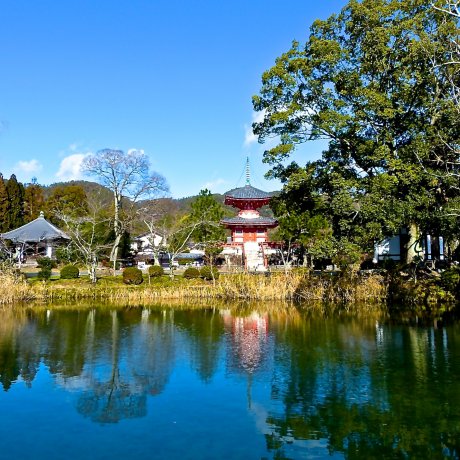 Lago Osawa-no-ike, Quioto