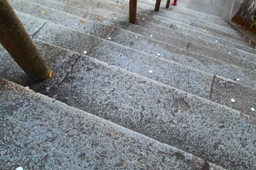 <p>Coins left on each step up to the Main Hall to avoid misfortune</p>