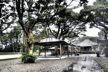 <p>Temple grounds on a gray and rainy day</p>