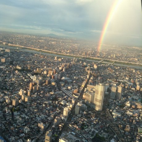 ไม่เคยเสียใจที่ได้ไป Tokyo Skytree