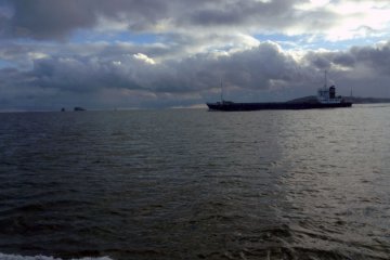 <p>Just as the cruise ship is about to turn around back to port, riders get a glimpse of the Pacific Ocean. Occasionally, massive transport ships pass through the area.&nbsp;</p>