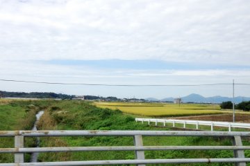 <p>Undulating lane ways, fresh air and lack of traffic makes Mifune a great place to cycle or walk</p>