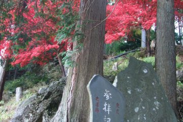 <p>Ascending Oyama in November</p>