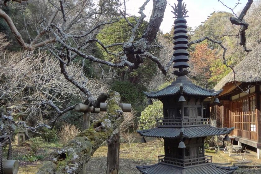 A pagoda-like stone lantern as well as a tall metal lantern—with Hojo in the background—creates a beautiful, traditional Japanese scene.