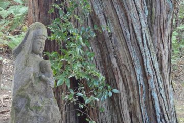 There is a small stone statue holding a baby near the root of the tree. It is called Koyasu-kannon, the Goodness of Mercy for a Child. It reminds me of the Blessed Virgin Mary.