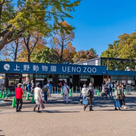 Zoo Ueno