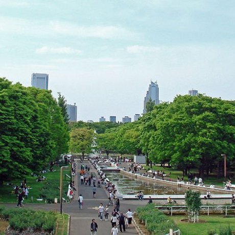 Công viên Yoyogi